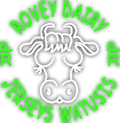 Rovey Dairy Logo